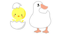 ひよことあひる